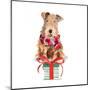 Christmas Airedale Terrier-Lanie Loreth-Mounted Art Print