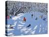 Christmas, Allestree Woods, Derby, 2017-Andrew Macara-Stretched Canvas