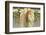 Christmas Angel with Holly-null-Framed Photographic Print