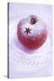 Christmas Apple with Icing Sugar Decoration-Alena Hrbková-Stretched Canvas