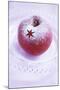 Christmas Apple with Icing Sugar Decoration-Alena Hrbková-Mounted Photographic Print