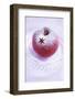 Christmas Apple with Icing Sugar Decoration-Alena Hrbková-Framed Photographic Print