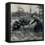 Christmas at the Front: Soldiers Chopping Down a Tree 1914-null-Framed Stretched Canvas