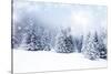 Christmas Background with Snowy Fir Trees-melis-Stretched Canvas