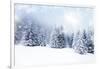 Christmas Background with Snowy Fir Trees-melis-Framed Art Print