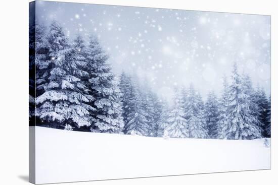 Christmas Background with Snowy Fir Trees-melis-Stretched Canvas