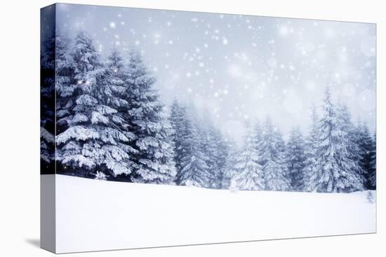 Christmas Background with Snowy Fir Trees-melis-Stretched Canvas