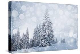 Christmas Background with Snowy Fir Trees-melis-Stretched Canvas