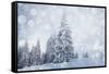 Christmas Background with Snowy Fir Trees-melis-Framed Stretched Canvas