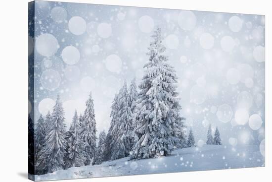 Christmas Background with Snowy Fir Trees-melis-Stretched Canvas