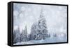 Christmas Background with Snowy Fir Trees-melis-Framed Stretched Canvas