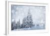 Christmas Background with Snowy Fir Trees-melis-Framed Photographic Print