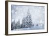 Christmas Background with Snowy Fir Trees-melis-Framed Photographic Print