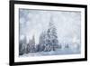 Christmas Background with Snowy Fir Trees-melis-Framed Photographic Print