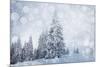 Christmas Background with Snowy Fir Trees-melis-Mounted Photographic Print