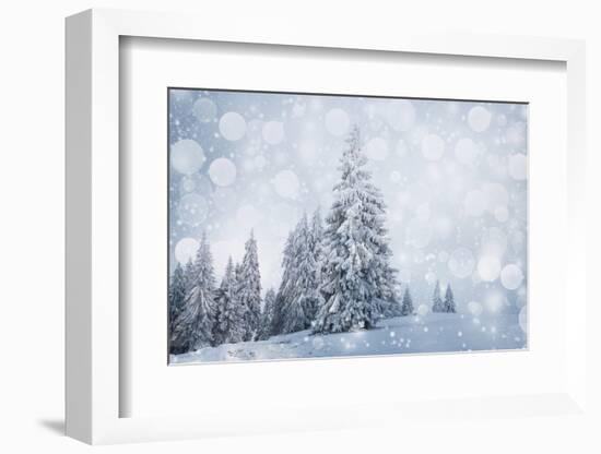 Christmas Background with Snowy Fir Trees-melis-Framed Photographic Print