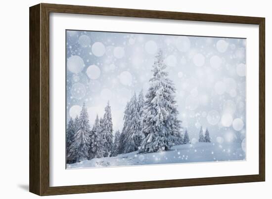 Christmas Background with Snowy Fir Trees-melis-Framed Photographic Print