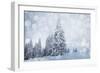 Christmas Background with Snowy Fir Trees-melis-Framed Photographic Print