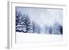 Christmas Background with Snowy Fir Trees-melis-Framed Photographic Print