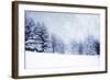 Christmas Background with Snowy Fir Trees-melis-Framed Photographic Print