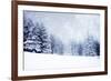 Christmas Background with Snowy Fir Trees-melis-Framed Photographic Print