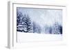 Christmas Background with Snowy Fir Trees-melis-Framed Photographic Print