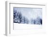 Christmas Background with Snowy Fir Trees-melis-Framed Photographic Print