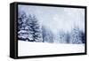 Christmas Background with Snowy Fir Trees-melis-Framed Stretched Canvas