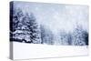 Christmas Background with Snowy Fir Trees-melis-Stretched Canvas