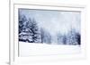 Christmas Background with Snowy Fir Trees-melis-Framed Photographic Print