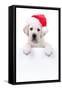 Christmas Banner Dog-Stephanie Zieber-Framed Stretched Canvas