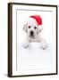 Christmas Banner Dog-Stephanie Zieber-Framed Photographic Print