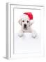 Christmas Banner Dog-Stephanie Zieber-Framed Photographic Print