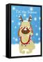 Christmas Barks II-Sd Graphics Studio-Framed Stretched Canvas