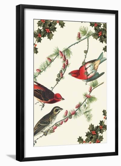 Christmas Birds and Holly-Sara Pierce-Framed Art Print