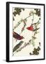 Christmas Birds and Holly-Sara Pierce-Framed Art Print