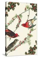 Christmas Birds and Holly-Sara Pierce-Stretched Canvas