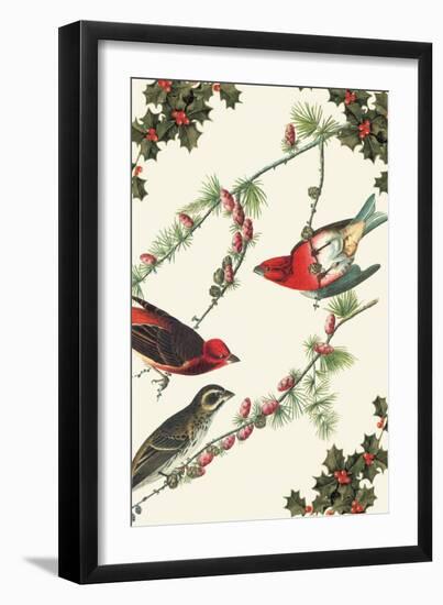 Christmas Birds and Holly-Sara Pierce-Framed Art Print