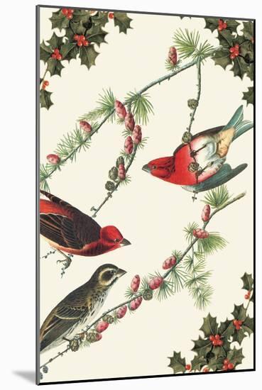 Christmas Birds and Holly-Sara Pierce-Mounted Art Print