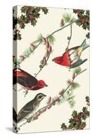 Christmas Birds and Holly-Sara Pierce-Stretched Canvas