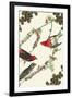 Christmas Birds and Holly-Sara Pierce-Framed Art Print