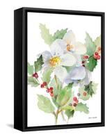 Christmas Bouquet I-Lanie Loreth-Framed Stretched Canvas