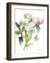 Christmas Bouquet II-Lanie Loreth-Framed Art Print