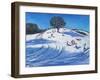 Christmas, Burley Lane, Derby, 2016-Andrew Macara-Framed Giclee Print