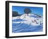 Christmas, Burley Lane, Derby, 2016-Andrew Macara-Framed Giclee Print