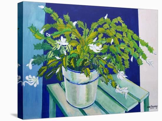 Christmas Cactus, 2000-Joan Thewsey-Stretched Canvas