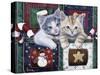 Christmas Calendar Kittens-Jenny Newland-Stretched Canvas