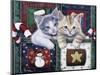 Christmas Calendar Kittens-Jenny Newland-Mounted Giclee Print
