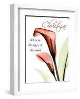 Christmas Calla Lily-Albert Koetsier-Framed Photographic Print