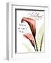 Christmas Calla Lily-Albert Koetsier-Framed Photographic Print